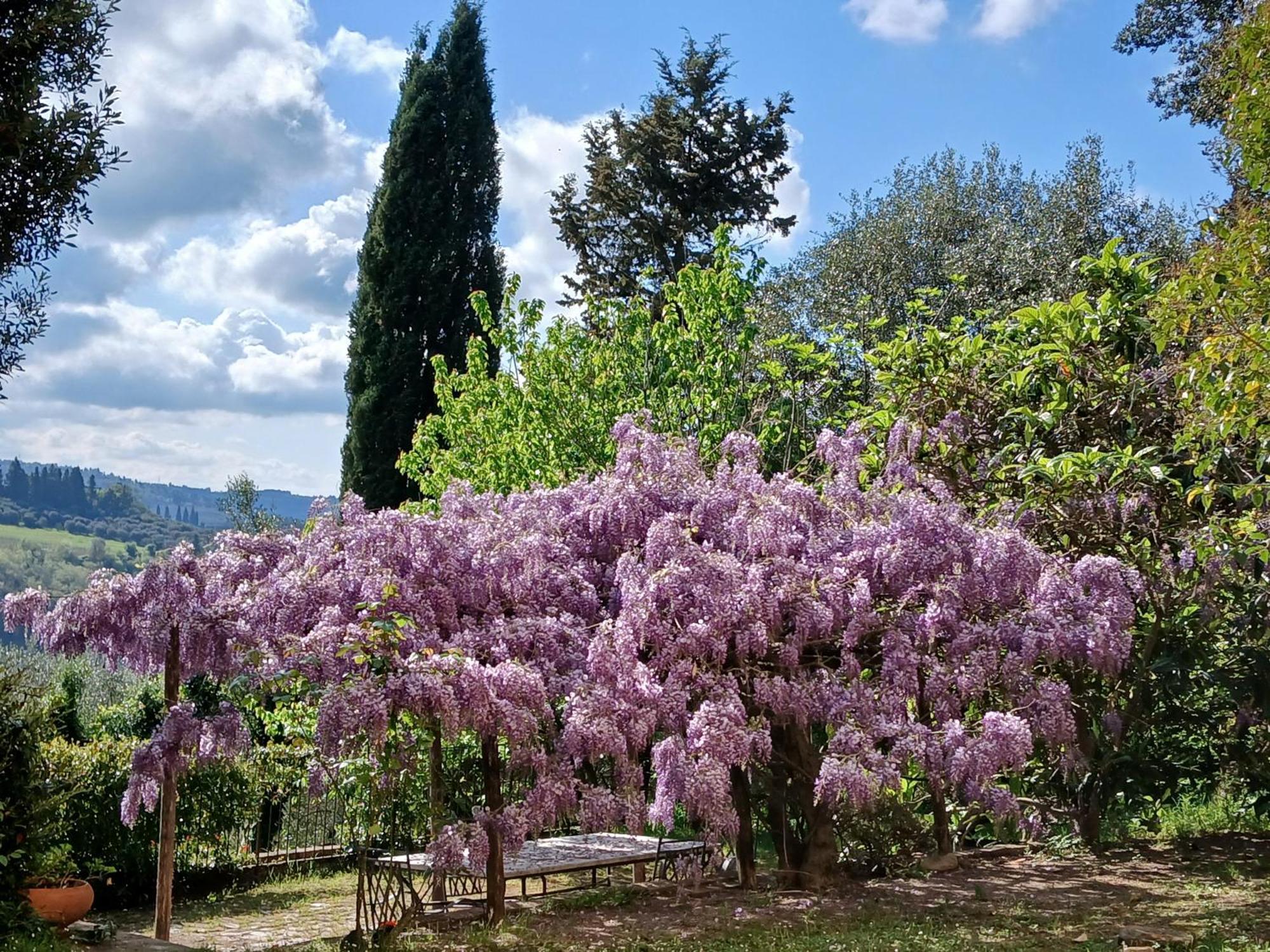 Agriturismo Villa Gorgognano Certaldo Exterior foto